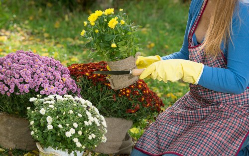 Image of a supervisor inspecting a planting bed during an investigation